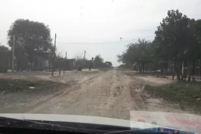 Video: una invasión de langostas causa revuelo en Taco Ralo