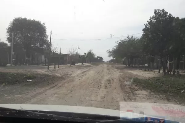 Video: una invasión de langostas causa revuelo en Taco Ralo