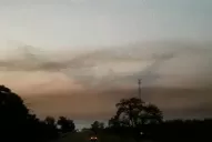 Video: viajaban a Termas de Río Hondo y se encontraron con una nube de langostas