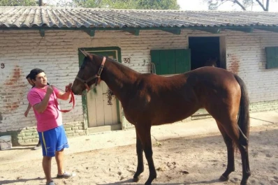 Todo listo para la subasta