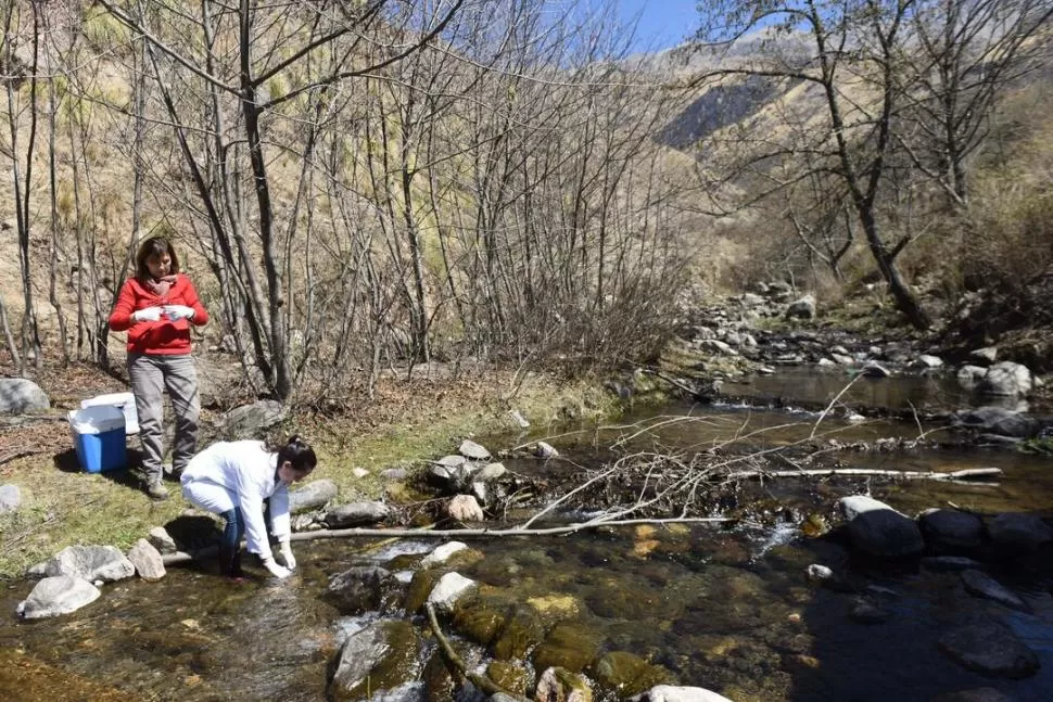 EN ACCIÓN. Susana Vera recoge muestras en el río Los Alisos; Marcela Medina lee y registra los datos. El río provee de agua a la comunidad de Las Carreras, pero aún no es potable y su provisión depende de las lluvias.