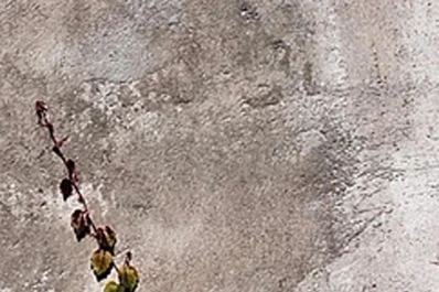 Una antología pensada en Tucumán