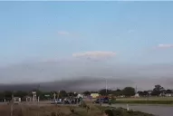 Las langostas avanzaron hacia varias localidades del este de la provincia