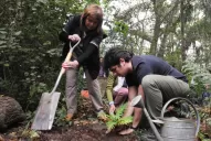En el Día del Árbol no hubo mucho para festejar
