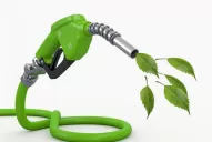 Por la traba al biodiésel cayó la venta de aceite