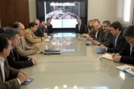 Langostas: el Senasa realiza controles terrestres y aéreos en forma conjunta