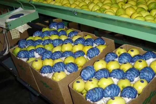 Las exportaciones de Tucumán crecieron en el primer semestre