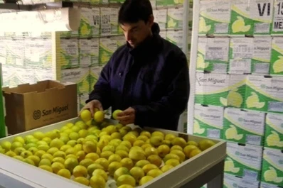San Miguel busca mayor inserción de sus cítricos en Asia