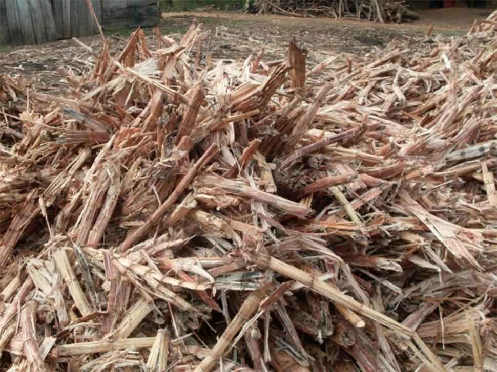 DERIVADOS. El residuo agrícola del azúcar (RAC) y el bagazo son dos buenos aliados en la producción de bioelectricidad desde los ingenios tucumanos. 