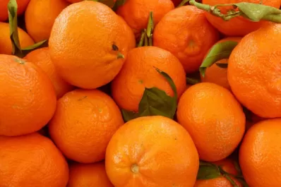 Murió una niña tras comer una mandarina que habría sido fumigada con agrotóxicos