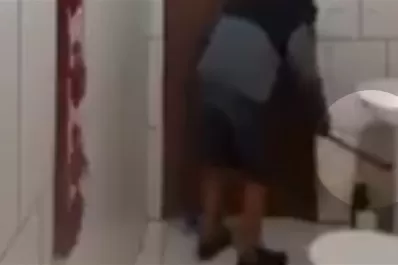 Video: trajo a un gato para atrapar a un ratón y mirá lo que pasó