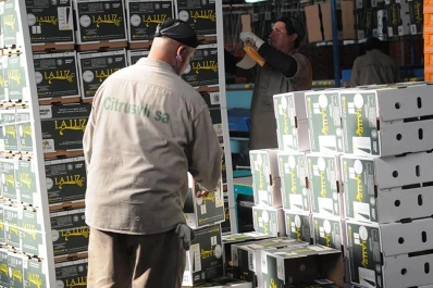 Las exportaciones de limones crecieron, en valor, un 5,6%