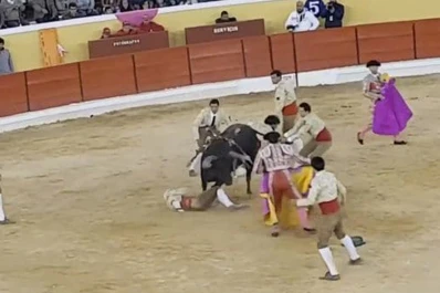 Video: un torero sufrió una brutal cornada y murió