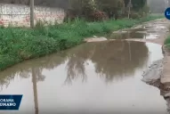 Pérdidas de líquidos cloacales, un problema de nunca acabar en las calles tucumanas