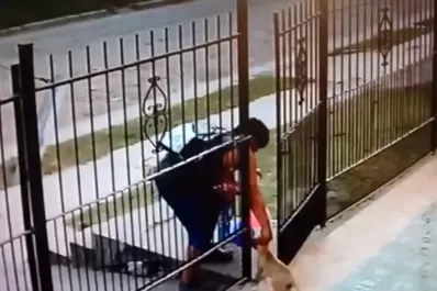 Video: así de fácil robaron una perrita en el Barrio Policial