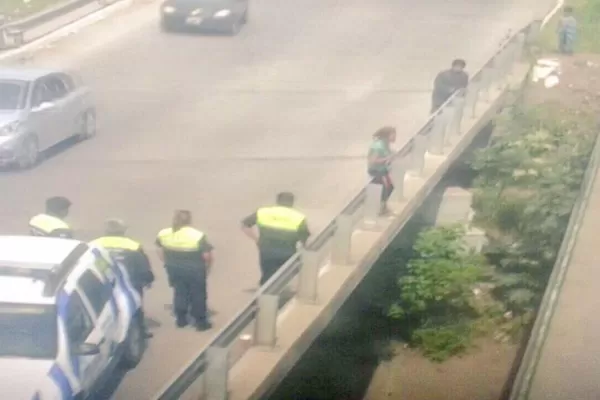 Vieron por las cámaras de seguridad que se iba a arrojar de un puente y pudieron salvarla