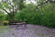 El Garden Club expondrá plantas de jardín y diseños florales