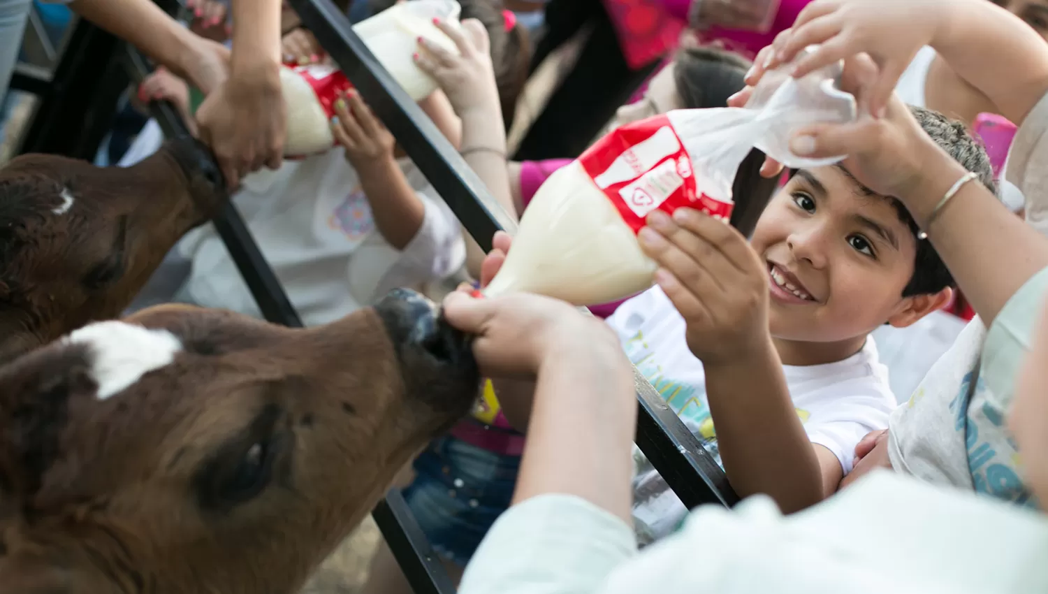 DELEITE: Los niños disfrutan la interacción con los animales en la Expo 2017. 