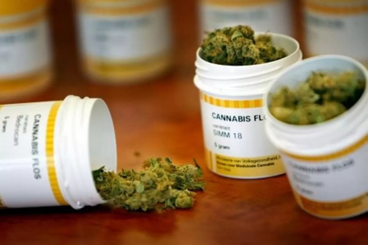 Reglamentaron la ley de cannabis medicinal