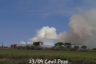 Quejas por las continuas quemas de caña