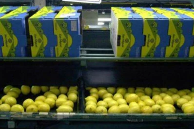 Radiografía de la economía tucumana, según el Gobierno provincial