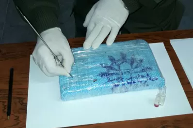 Llevaban 31 kilos de cocaína ocultos en el equipaje de un micro de larga distancia