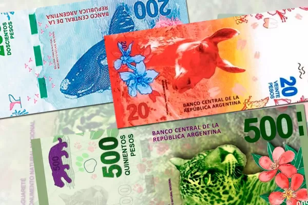 Llega el nuevo billete de $ 20: tiene un guanaco y comenzará a circular desde el miércoles