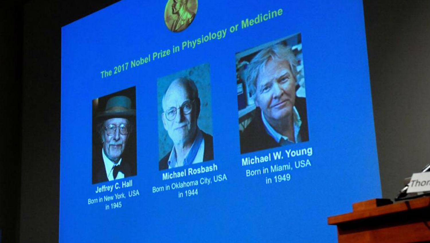 Tres estadounidenses ganan el Nobel de Medicina por su descubrimiento sobre el reloj biológico