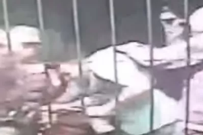 Lo golpearon ferozmente para robarle la moto en la zona sur de Tucumán y huyeron cuando llegó la Policía: quedó todo filmado