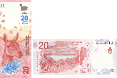 Con la imagen de un guanaco, ya circula el billete de 20 pesos
