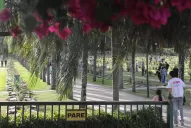 Los niños asesinados ya fueron sepultados y su madre será evaluada por una junta psiquiátrica