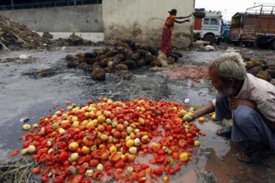 Tucumán se sumó al programa nacional contra la pérdida de alimentos: puntos centrales