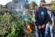 Hay que trabajar juntos contra el HLB