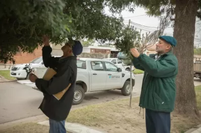 Prevenir el HLB: ATC, Afinoa, el Senasa, productores y Gobiernos trabajan unidos