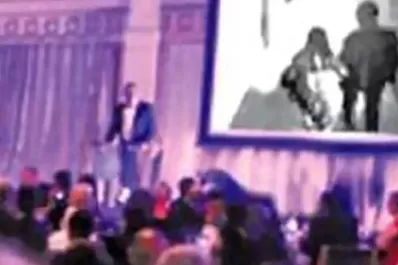 Como en Relatos Salvajes: un novio reveló la infidelidad de su mujer, en su casamiento