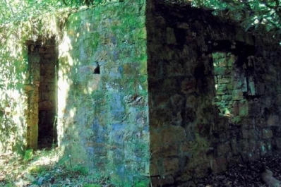 Conjeturas en torno a un descubrimiento