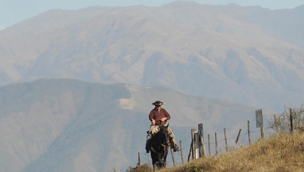 ¡Aprovechá el domingo de sol! Se viene una semana fría y lluviosa