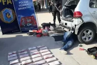 La banda del empresario habría traficado 1.000 kilos de cocaína en cinco meses