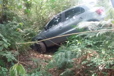 Fueron a bailar y les robaron el auto: apareció estrellado en un zanjón