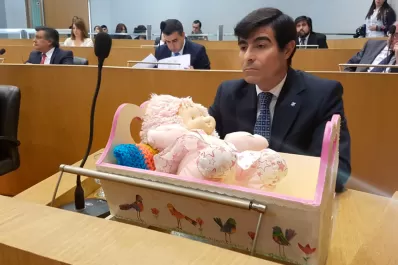 Una cuna de juguete se filtró en la sesión del Concejo por la entrega de subsidios