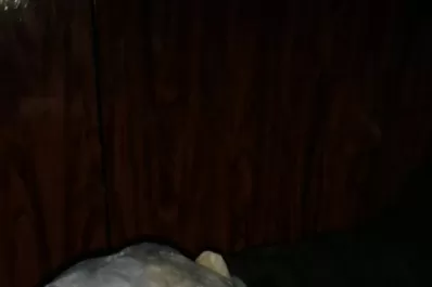 A la pasta base ahora también la venden en forma de alfeñiques