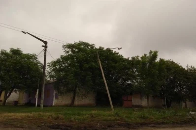 Barrio San Martín: no levantaron las ramas cortadas a dos enormes gomeros