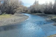 En menos de 10 días se obtendrá un resultado genético categórico que permitirá determinar si se trata de Santiago Maldonado