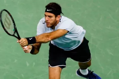 Del Potro ganó y avanza en el ATP 250 de Estocolmo