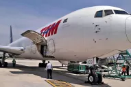 Exportando arándanos de calidad en vuelos sin escalas