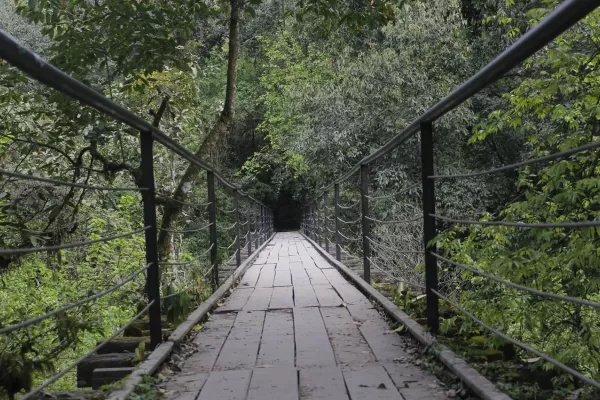 El concurso de fotografía Redes Cubriendo San Javier entró en su etapa final