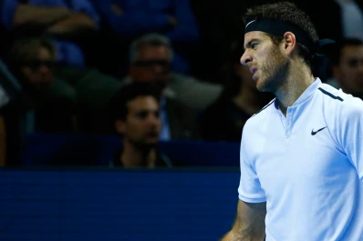 Del Potro cayó ante Federer en la final de Basilea