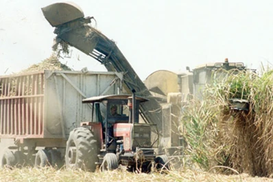 Fin de la zafra 2017: se calcula una caída en la producción de un 17%
