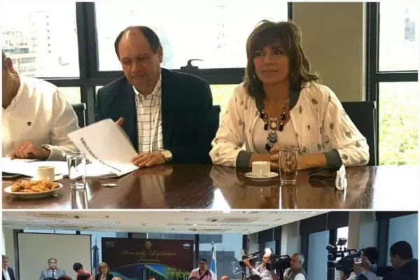 En la Cámara evalúan una reforma constitucional