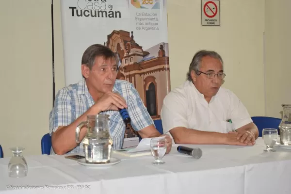 Los desafíos: mayor nutrición y fertilización del maíz